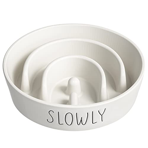 LE TAUCI PET Dog Slow Feeder Bowl Keramik, Puzzle Hund Futternapf für kleine mittelgroße große Rassen, Welpen langsam Feeder Schüssel für schnelles Essen, Labyrinth-Schüssel, Haustiernapf von LE TAUCI PET