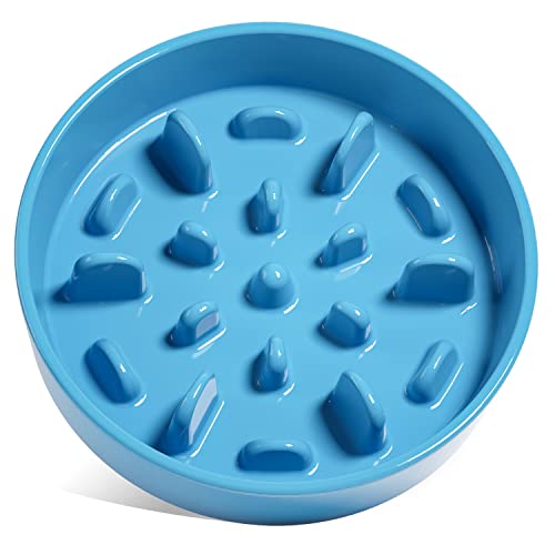 LE TAUCI PET Slow Feeder Hundenapf aus Keramik, 1.5 Tassen Hundenäpfe zum Verlangsamen des Fressens kleiner mittlerer Rasse, Welpe langsamer Futternapf für schnelles Essen, Labyrinth-Schüssel, Blau von LE TAUCI PET