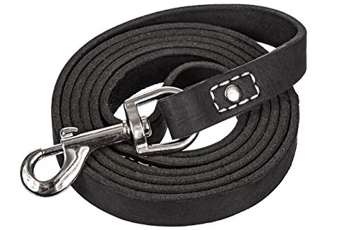 Leatherberg Hundeleine aus Leder, 1,8 m lang x 1,9 cm breit, ideal für mittelgroße und große Hunde, Latigo-Leder-Hundeleine und Welpentrainer-Leine, Schwarz von LEATHERBERG