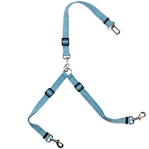 Geschirr Hund Dog Harness Leine Hund Welpenleine Schleppleine Hund Sicherheitsgeschirr Hund Katzengeschirr Ausbruchsicher Hunde Leine for Reisen Blue von LEDDP