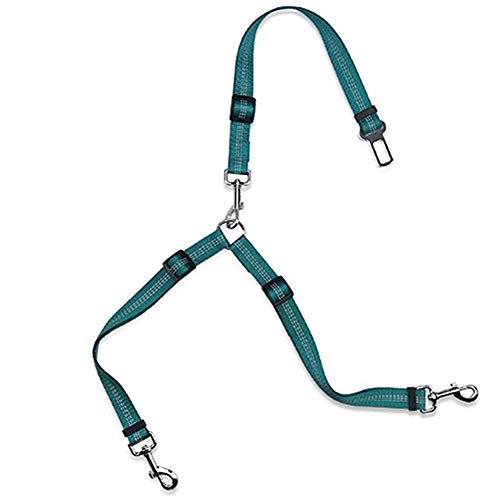 Geschirr Hund Dog Harness Leine Hund Welpenleine Schleppleine Hund Sicherheitsgeschirr Hund Katzengeschirr Ausbruchsicher Hunde Leine for Reisen Green von LEDDP