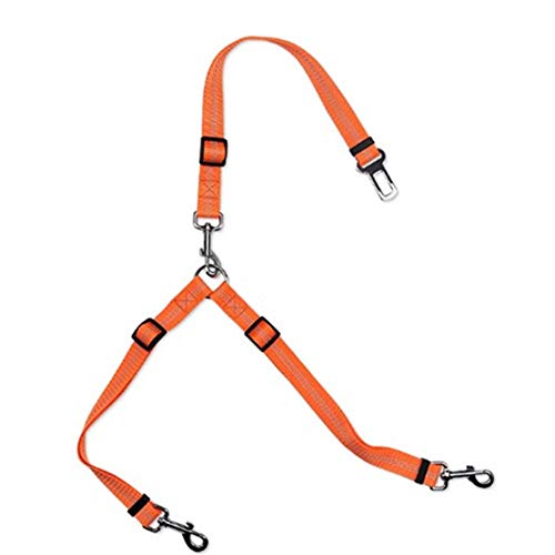 Geschirr Hund Dog Harness Leine Hund Welpenleine Schleppleine Hund Sicherheitsgeschirr Hund Katzengeschirr Ausbruchsicher Hunde Leine for Reisen orange von LEDDP