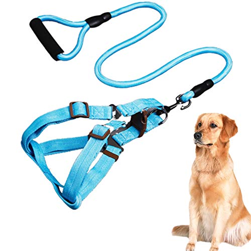 Geschirr Hund Hunde Geschirr Anschnallgurt Hund Auto Lederhalsband Hund Leine Hund Hundeleinen Welpenleine Katzengeschirr Kitten for Haustiere Blue,23 von LEDDP