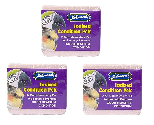 Leeway Woodwood JOHNSONS IODISIED Condition PEKS – 100 g Aviary Size Gesunde Vitamin Minerale PECK von LEEWAY WOODWORK