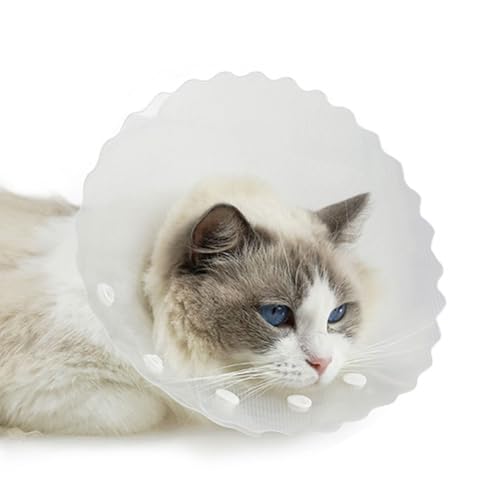 LEJIAJU Katzenhalsband, wasserdichtes Katzenhalsband, praktisch verstellbar, kegelförmig, entworfen, um die Heilung nach Operationen zu unterstützen von LEJIAJU