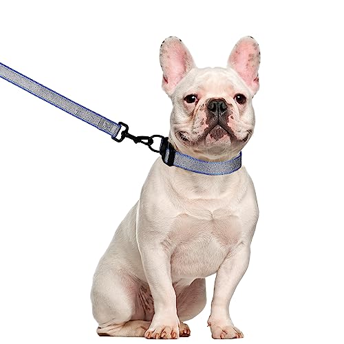 Hundegeschirr-Halsband, 1.5 m, reflektierend, verstellbar, kein Ziehen, Hundegeschirr mit Sicherheitsverschluss, einfache Kontrolle, für kleine, 2 Stück (glitzerndes Halsband + Leine), M-Blau von LEKAIGO