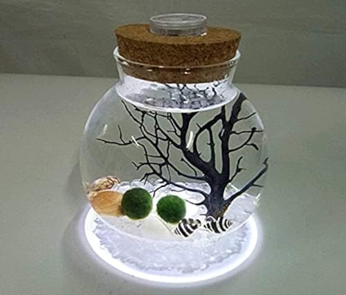 LED-Aquarium Marimo Kit, Kreatives LED-Nachtlicht, Mikrolandschaft, Öko-Flasche, Glas, Terrarium, Kugelglas, Mit Lebenden Moosbällen, Kieselsteinen, Muscheln, Schwarzer Fächerkoralle, Geschenk Für von LENIUKS