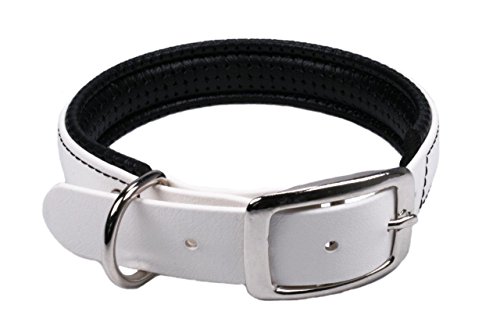 LENNIE BioThane Halsband, gepolstert, Dornschnalle, 19 mm breit, Größe 34-40 cm, Weiß, Aufdruck möglich von LENNIE