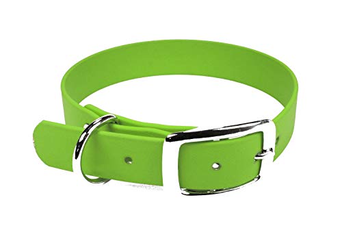 LENNIE BioThane Halsband, Dornschnalle, 13 mm breit, Größe 20-24 cm, Apfelgrün, Aufdruck möglich von LENNIE