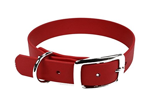 LENNIE BioThane Halsband, Dornschnalle, 13 mm breit, Größe 26-30 cm, Rot, Aufdruck möglich von LENNIE