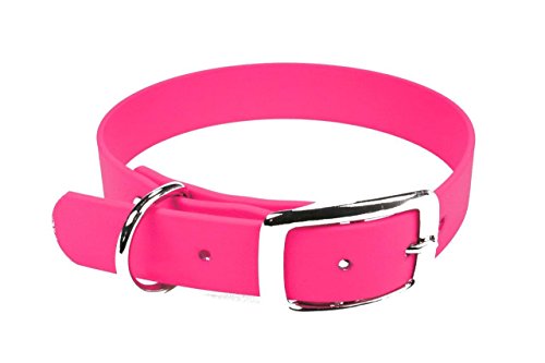 LENNIE BioThane Halsband, Dornschnalle, 16 mm breit, Größe 22-28 cm, Neon-Pink, Aufdruck möglich von LENNIE