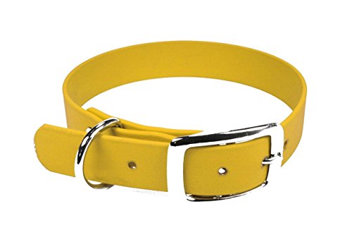 BioThane Halsband, Dornschnalle, 16 mm breit, Größe 26-32 cm, Gelb, Aufdruck möglich von LENNIE