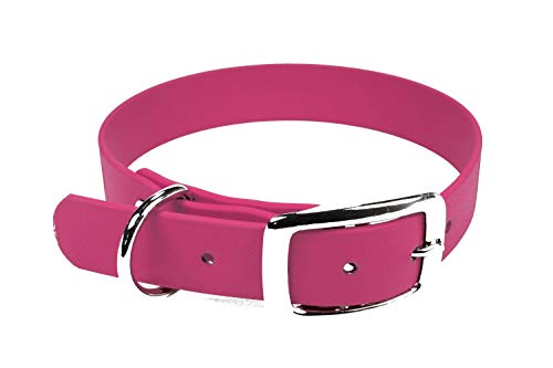 BioThane Halsband, Dornschnalle, 19 mm breit, Größe 34-40 cm, Magenta, Aufdruck möglich von LENNIE