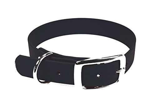 LENNIE BioThane Halsband, Dornschnalle, 25 mm breit, Größe 50-58 cm, Schwarz, Aufdruck möglich von LENNIE