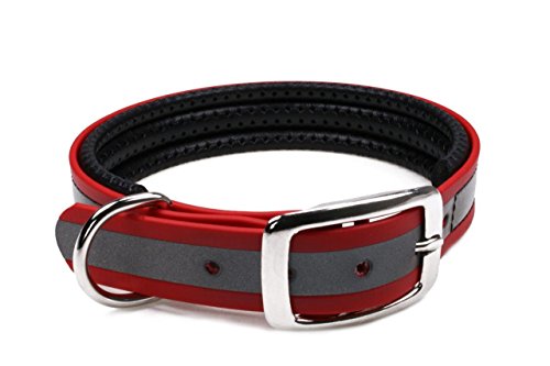 BioThane Halsband, gepolstert, Dornschnalle, 19 mm breit, Größe 26-32 cm, Rot-Reflex von LENNIE