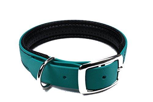 LENNIE BioThane Halsband, gepolstert, Dornschnalle, 19 mm breit, Größe 34-40 cm, Petrol/Teal, Aufdruck möglich von LENNIE