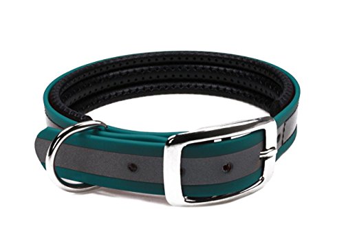 BioThane Halsband, gepolstert, Dornschnalle, 19 mm breit, Größe 34-40 cm, Petrol/Teal-Reflex von LENNIE