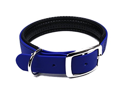 LENNIE BioThane Halsband, gepolstert, Dornschnalle, 25 mm breit, Größe 32-40 cm, Blau, Aufdruck möglich von LENNIE