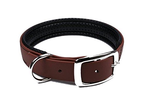 LENNIE BioThane Halsband, gepolstert, Dornschnalle, 25 mm breit, Größe 32-40 cm, Rotbraun, Aufdruck möglich von LENNIE