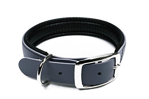 LENNIE BioThane Halsband, gepolstert, Dornschnalle, 25 mm breit, Größe 44-52 cm, Grau, Aufdruck möglich von LENNIE