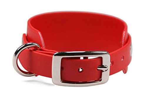 LENNIE BioThane Windhundhalsband, 38 mm breit, 19 mm Dornschnalle, Größe 25-30 cm, Rot, Aufdruck möglich von LENNIE