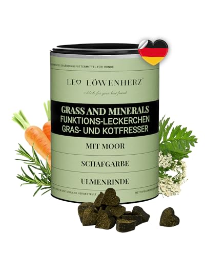 LEO LÖWENHERZ Leckerlis Grass & Minerals - 370g - Funktionsleckerlis für Hunde - Gras- & Kotfresser - 100% Natur - Zuckerfrei - Futterergänzung - Made in Germany von LEO LÖWENHERZ