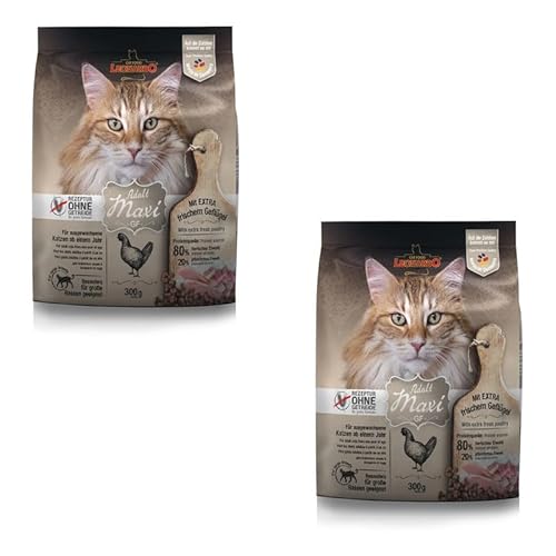 Leonardo GF Maxi Adult | Doppelpack | 2 x 300 g | Trockenfutter für ausgewachsene große Katzen | Empfohlen bei Futterunverträglichkeiten | Extra große Krokettenform von Leonardo