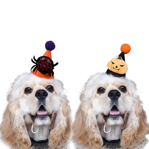 LERTREEUK 2 Stück Halloween Haustier Hut Einstellbare Pom-pom Kegel Hut mit Kürbis Spinne Kopfbedeckung für Welpe Katze Hunde von LERTREEUK