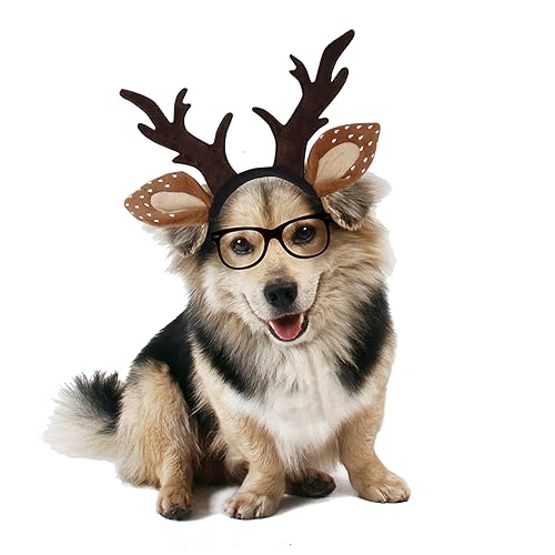 LERTREEUK Einstellbare Weihnachten Haustier Hirsch Geweih Stirnbänder Hund Rentier Kopf Band Elch Headwear Cosplay Kostüm für Katze Welpe Haustier (Geweih, L) von LERTREEUK