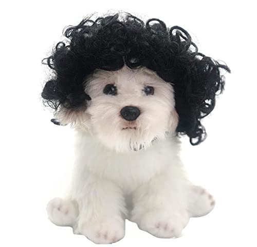 LERTREEUK Rock-Stil große Haare Haustier Perücken für Hunde Katzen Welpen Kunsthaar Lustige Kostüme Cosplay Kopfbedeckung Halloween Kostüm von LERTREEUK