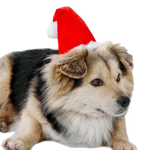 LERTREEUK Weihnachtsmannhut für Tiere aus Plüsch für Hunde und Katzen für Fotos der Weihnachtsfeier (L) von LERTREEUK