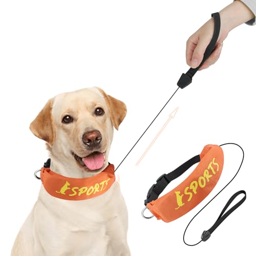 Lesypet 2-in-1 einziehbares Hundehalsband, freihändiges Spazierengehen mit einziehbarer Leine für mittelgroße und große Hunderassen, Orange, Größe L von LESYPET