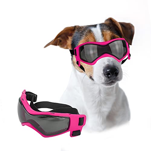 Lesypet Hundebrille für kleine Rassen, Hundesonnenbrille, UV-Schutz, Windschutz für kleine Hunde, Outdoor, Größe M von LESYPET