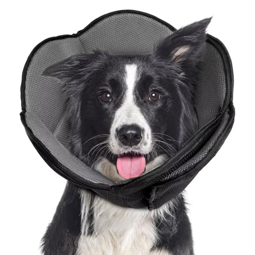 Hundekegel für Hunde nach Operationen, verstellbare schützende Hundehalsbänder und Kegel für große, mittelgroße und kleine Hunde und Katzen, bequeme, weiche Hundekegel verhindern, dass Haustiere von LETSQK