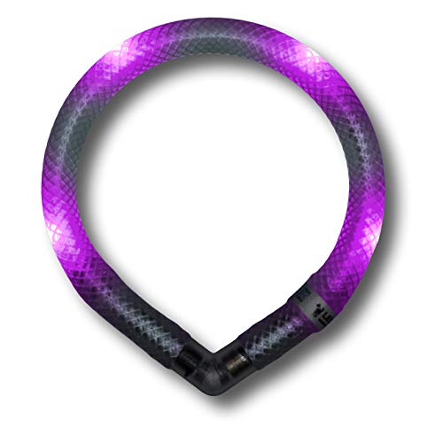 LEUCHTIE® Leuchthalsband Mini für Hunde, wasserdichtes LED Halsband, enorm hell, 50h Leuchtdauer, für kleine Hunde Lavendel Größe 32,5 von LEUCHTIE