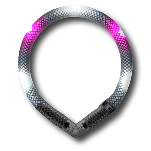 LEUCHTIE® Leuchthalsband Mini für Hunde, wasserdichtes LED Halsband, enorm hell, 50h Leuchtdauer, für kleine Hunde weiß-hotpink Größe 32,5 von LEUCHTIE