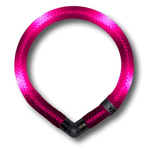 LEUCHTIE® Leuchthalsband Mini für Hunde, wasserdichtes LED Halsband, enorm hell, 50h Leuchtdauer, für kleine Hunde hotpink Größe 27,5 von LEUCHTIE