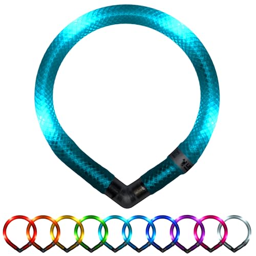 LEUCHTIE® Leuchthalsband Mini für Hunde, wasserdichtes LED Halsband, enorm hell, 50h Leuchtdauer, für kleine Hunde türkis Größe 32,5 von LEUCHTIE