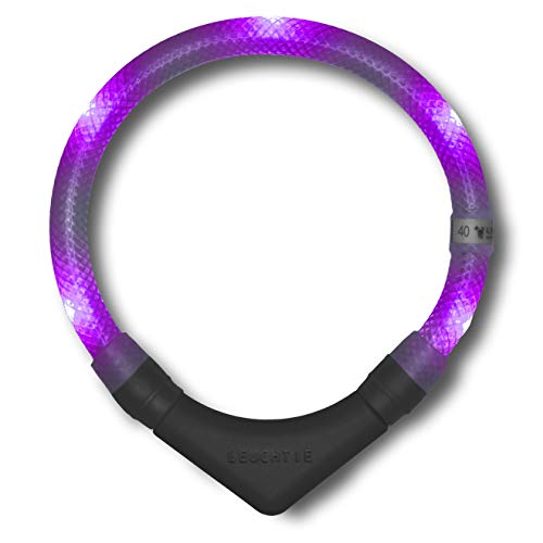 LEUCHTIE® Leuchthalsband Plus für Hunde, wasserdichtes LED Halsband, enorm hell 100h Leuchtdauer, Hundehalsband leuchtend für kleine mittlere und große Hunde lavendel Größe 42,5 von LEUCHTIE