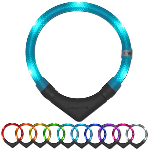 LEUCHTIE® Leuchthalsband Plus für Hunde, wasserdichtes LED Halsband, enorm hell 100h Leuchtdauer, Hundehalsband Leuchtend für kleine mittlere und große Hunde türkis Größe 45 von LEUCHTIE