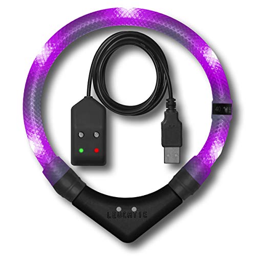 LEUCHTIE® Leuchthalsband Easy Charge für Hunde, USB aufladbar, wasserdichtes LED Halsband, extrem hell, 25h Leuchtdauer, kleine mittlere und große Hunde Lavendel Größe 52,5 von LEUCHTIE