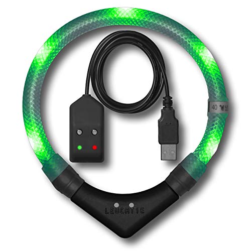 LEUCHTIE® Leuchthalsband Easy Charge für Hunde, USB aufladbar, wasserdichtes LED Halsband, extrem hell, 25h Leuchtdauer, kleine mittlere und große Hunde grün Größe 45 von LEUCHTIE