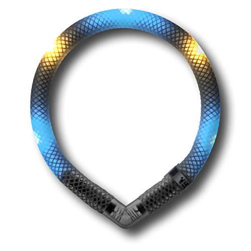 LEUCHTIE® Leuchthalsband Mini für Hunde, wasserdichtes LED Halsband, enorm hell, 50h Leuchtdauer, für kleine Hunde eisblau-vanille Größe 32,5 von LEUCHTIE