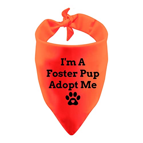 Lustiges Hundehalstuch, Anxious Dog Bandana I'm A Foster Pup Adopt Me Lätzchen Zubehör für Haustiere, Geburtstagsgeschenk, Hundehalstuch (I'm A Foster) von LEVLO