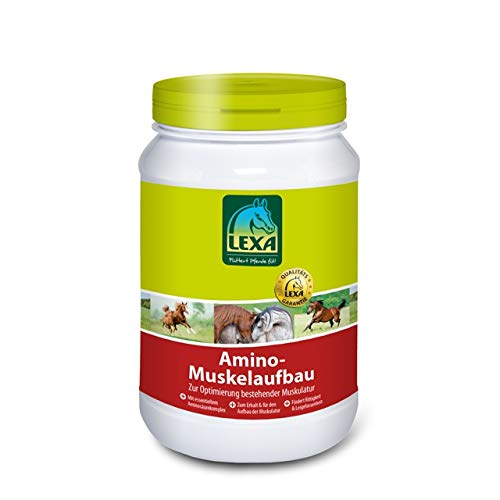 Amino-Muskelaufbau 3 kg Eimer von LEXA