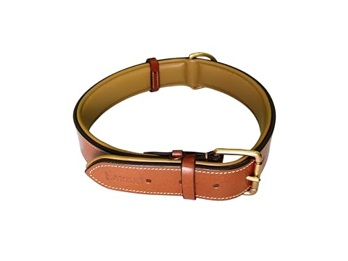 Lexnel Hundehalsband aus echtem Leder Heavy Duty Hundehalsband Breit Hundehalsband für Kleine Hund Mittlere Hund Große Hund und Extra Große Hund - Braun Gepolstert - L von LEXNEL