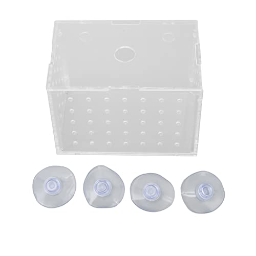 Aquarium Hatchery Incubator Tank, Verbessern Sie die Überlebensrate Acryl Baby Shrimp Fish Breeder Box für Baby Clown Fish Aquarium (11 * 7 * 8CM) von LEYT