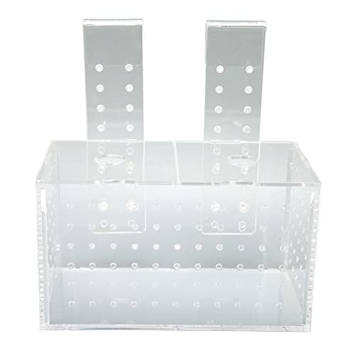 Fischzuchtbox, Aquarienbrüterei, Rundes Lochdesign, Stabil, Transparent, für Neugeborene Fische für Aquarien (17 * 9 * 10 cm) von LEYT