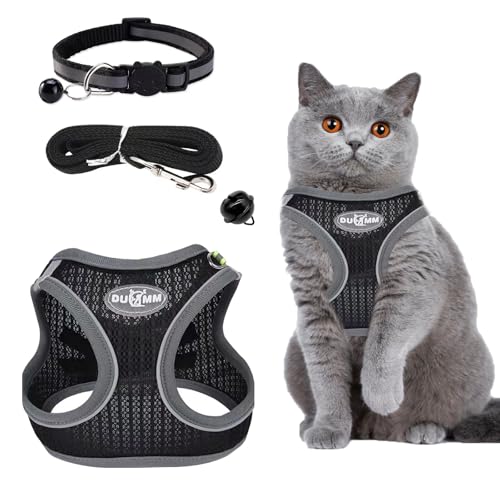 katzengeschirr mit Leine Ausbruchsicher,Verstellbares Katzen Geschirr,katzengeschirr Weichem Innenfutter und Atmungsaktivem Mesh mit Reflektierenden für Outdoor Training Gehen(Schwarz XS) von LFBEST