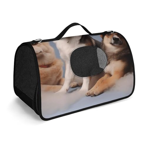 Hundetragetasche, weiche Seiten, Katzentragetasche, tragbare Haustier-Reisetasche, bedruckt, Haustiertasche, faltbare Hundehandtasche für Outdoor, Reisen, Camping von LFDSPYJE